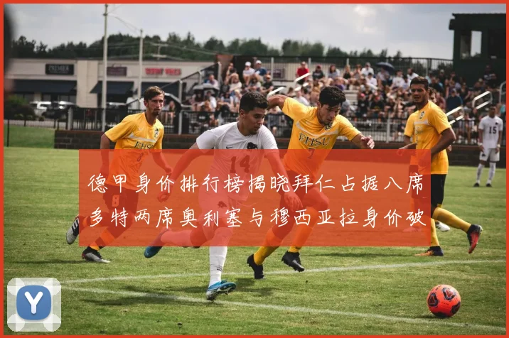 德甲身价排行榜揭晓拜仁占据八席多特两席奥利塞与穆西亚拉身价破亿