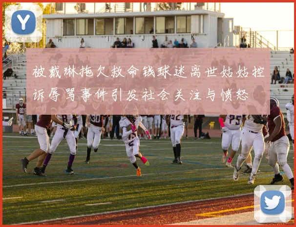 被戴琳拖欠救命钱球迷离世姑姑控诉辱骂事件引发社会关注与愤怒